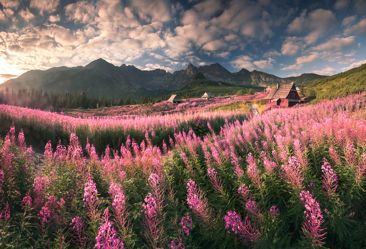 Kliknij obrazek, aby uzyskać większą wersję

Nazwa:	Tatry-Polskie-36.jpg
Wyświetleń:	23
Rozmiar:	1,37 MB
ID:	882