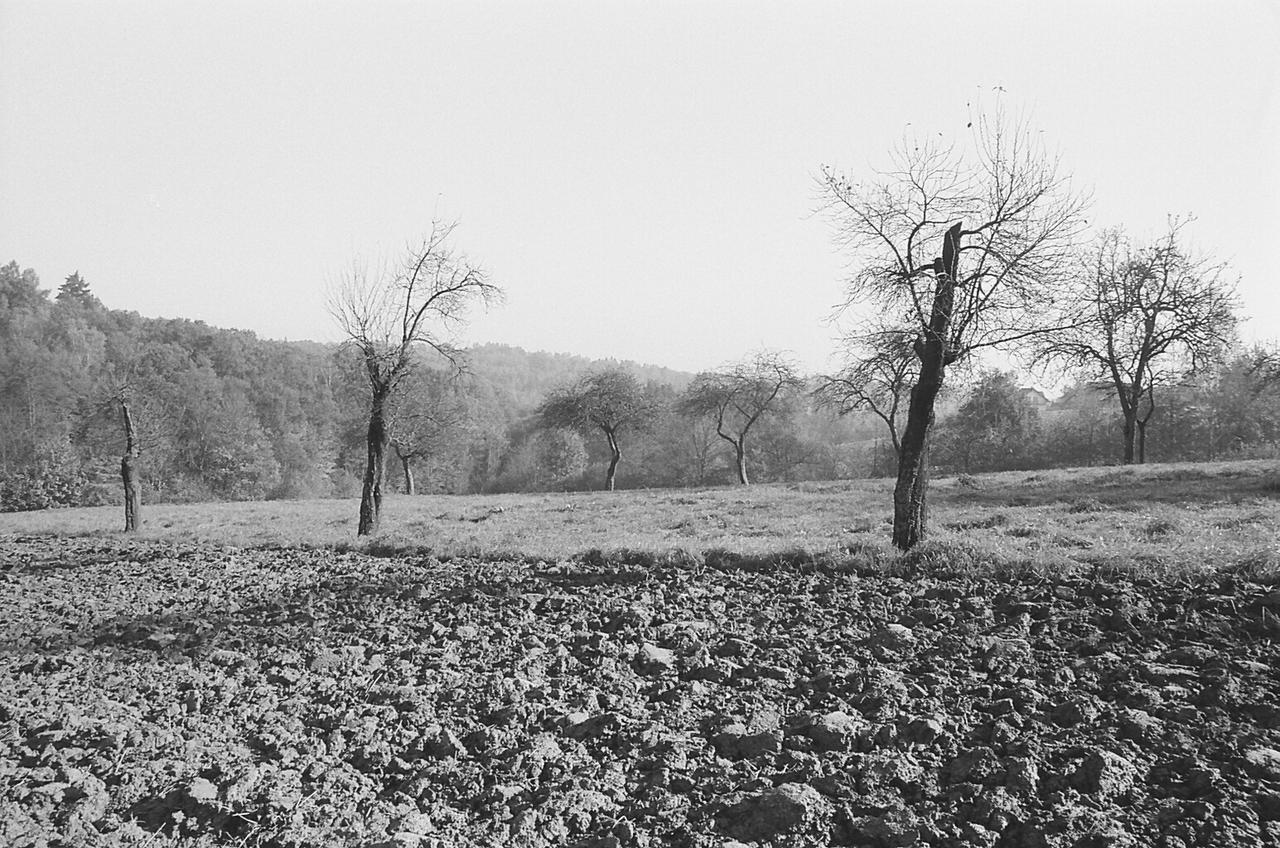 Kliknij obrazek, aby uzyskać większą wersję

Nazwa:	tmax.jpg
Wyświetleń:	7
Rozmiar:	800,3 KB
ID:	11054