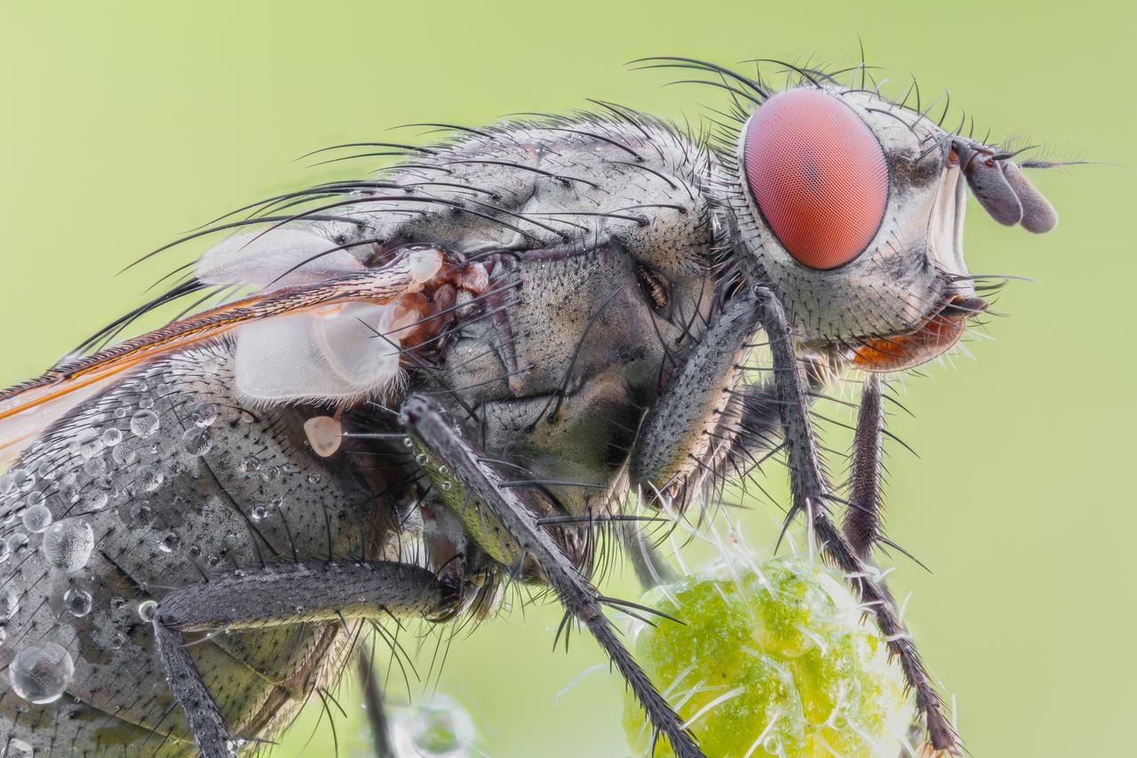 Kliknij obrazek, aby uzyskać większą wersję

Nazwa:	2019-06-03-22.26.47 ZS retouched (Kopiowanie).jpg
Wyświetleń:	22
Rozmiar:	2,43 MB
ID:	2439