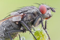 Kliknij obrazek, aby uzyskać większą wersję

Nazwa: 2019-06-03-22.26.47 ZS retouched (Kopiowanie).jpg
Wyświetleń: 18
Rozmiar: 2,43 MB
ID: 2088020