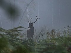 Kliknij obrazek, aby uzyskać większą wersję

Nazwa: 4.jpg
Wyświetleń: 67
Rozmiar: 254,4 KB
ID: 2109975