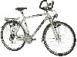 Awatar bikeman