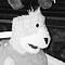 Awatar FlatEric