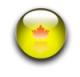 Awatar Button