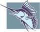 Awatar marlin